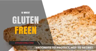 Is Wheat Gluten-Free? Unraveling the Truth About Wheat and Gluten