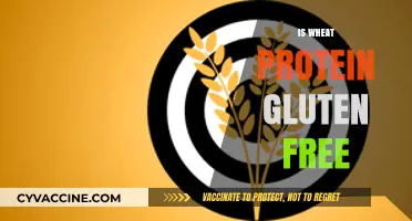 Is Wheat Protein Gluten-Free? Understanding the Facts and Myths