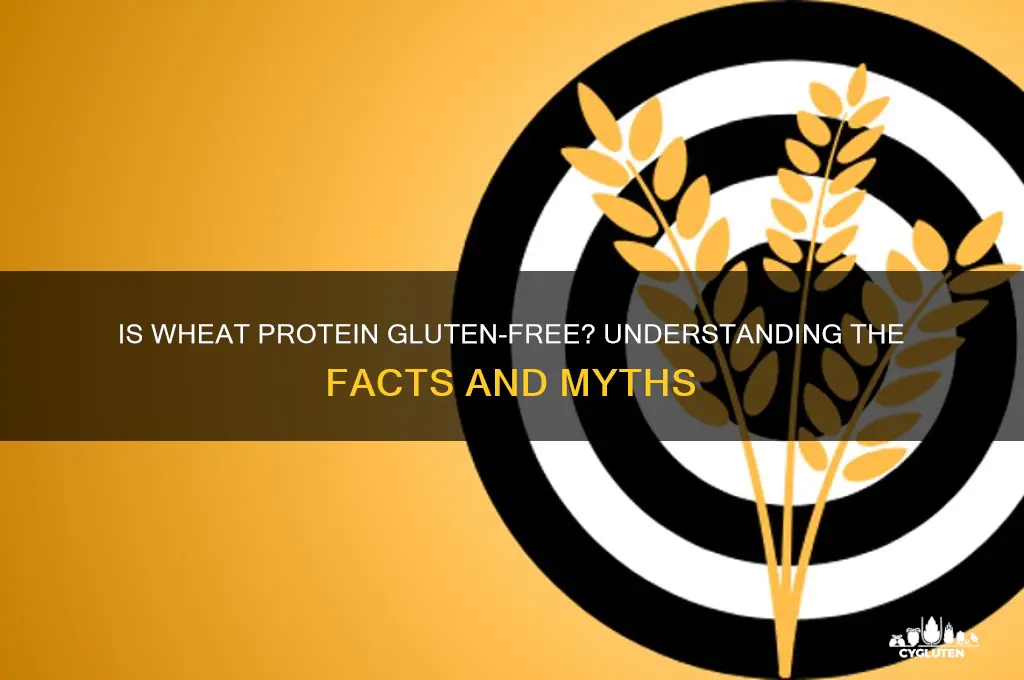 is wheat protein gluten free