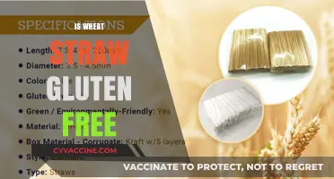 Is Wheat Straw Gluten-Free? Unraveling the Truth for Celiacs