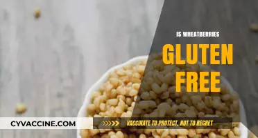 Are Wheatberries Gluten-Free? Unraveling the Truth for Your Diet