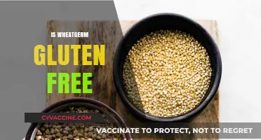 Is Wheat Germ Gluten-Free? Unraveling the Facts for Your Diet