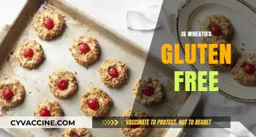 Is Wheaties Gluten-Free? Uncovering the Truth for Celiac Diets