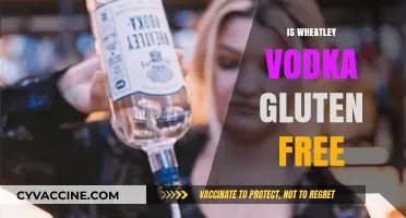 Is Wheatley Vodka Gluten-Free? Exploring the Distillation Process
