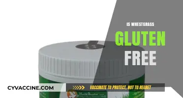 Is Wheatgrass Gluten-Free? Unraveling the Truth for a Healthy Diet