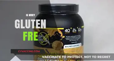 Is Whey Gluten-Free? Unraveling the Truth for Your Diet