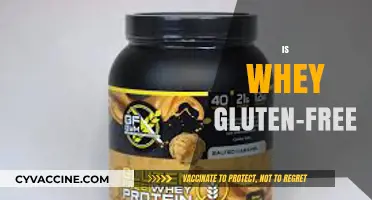 Is Whey Gluten-Free? Understanding Protein Powders and Celiac Safety