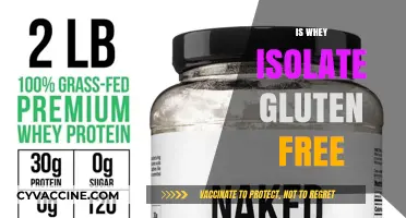 Is Whey Isolate Gluten-Free? A Clear Answer for Your Diet
