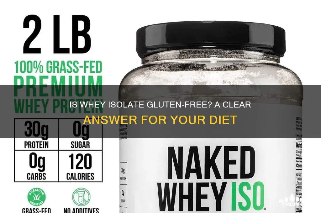 is whey isolate gluten free
