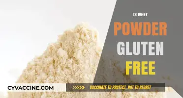 Is Whey Powder Gluten-Free? A Comprehensive Guide for Dieters