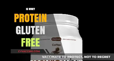 Is Whey Protein Gluten-Free? A Complete Guide for Fitness Enthusiasts
