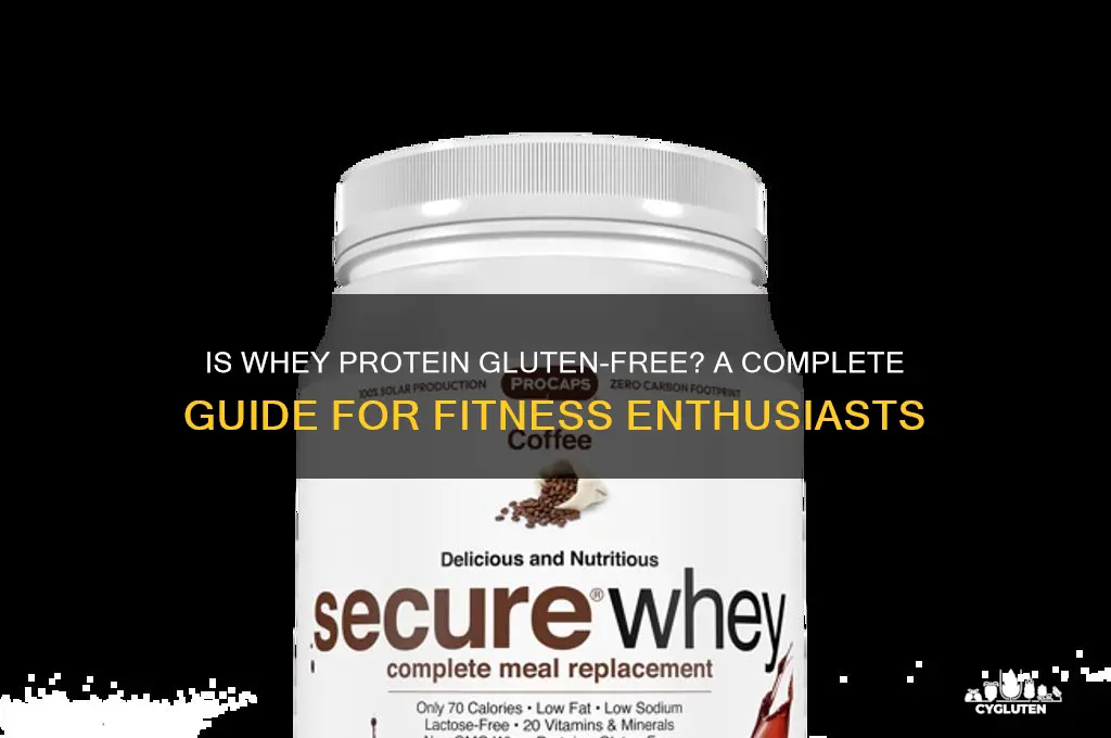 is whey protein gluten free