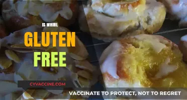 Is Whirl Gluten Free? A Comprehensive Guide to Its Ingredients