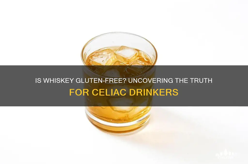 is whiskly gluten free