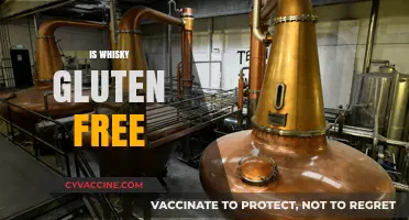 Is Whisky Gluten-Free? Unraveling the Truth for Celiac Drinkers