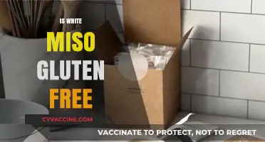 Is White Miso Gluten Free? A Comprehensive Guide for Dietary Needs
