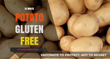 Are White Potatoes Gluten-Free? A Clear and Simple Answer