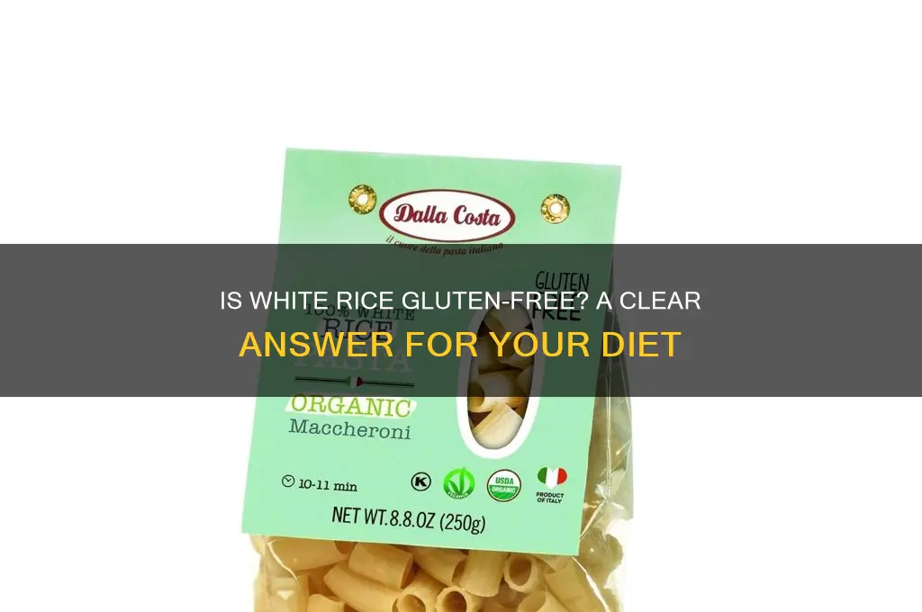 is white rice gluten-free