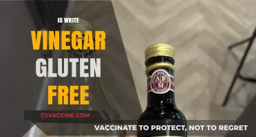 Is White Vinegar Gluten-Free? A Clear Answer for Celiacs