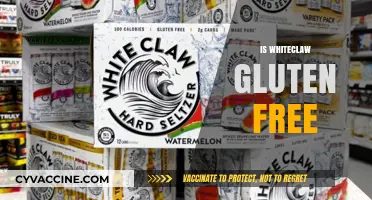 Is White Claw Gluten-Free? Uncovering the Truth for Celiac Drinkers