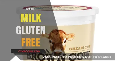 Is Whole Milk Gluten-Free? Understanding Dairy and Gluten Concerns