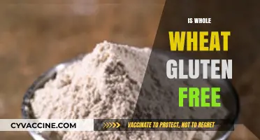 Is Whole Wheat Gluten-Free? Unraveling the Truth for Your Diet