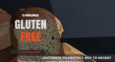 Wholemeal and Gluten: Understanding the Facts for a Healthy Diet