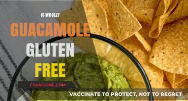 Is Wholly Guacamole Gluten-Free? A Complete Guide for Celiac Diets