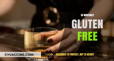 Is Whiskey Gluten-Free? Exploring the Truth for Celiac Drinkers