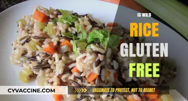 Is Wild Rice Gluten-Free? A Complete Guide for Celiac Diets