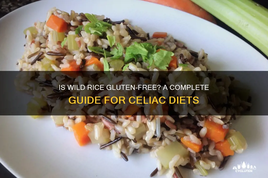 is wild rice gluten free