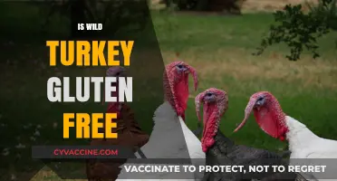 Is Wild Turkey Gluten-Free? Uncovering the Truth for Whiskey Lovers
