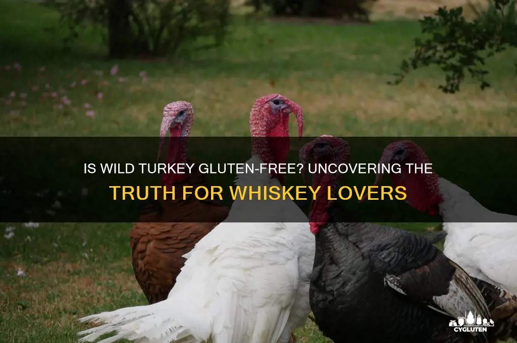 is wild turkey gluten free