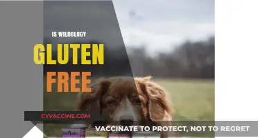 Is Wildology Gluten-Free? Uncovering the Truth About Their Products
