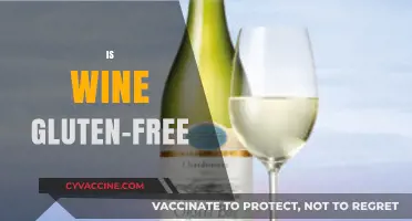 Is Wine Gluten-Free? A Guide to Safe Wine Choices