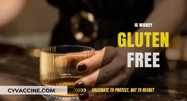 Is Whiskey Gluten-Free? Uncovering the Truth for Celiac Drinkers