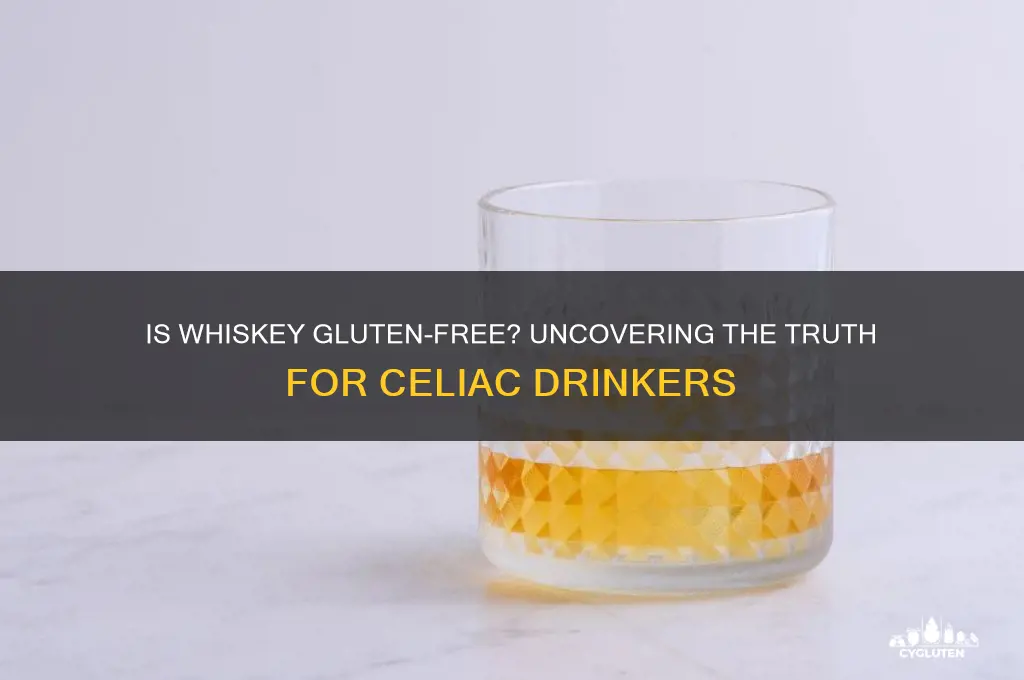 is wisky gluten free