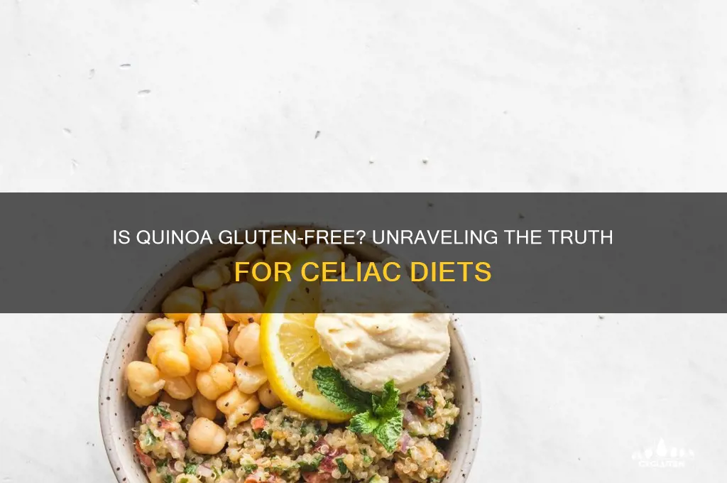 is wuinoa gluten free