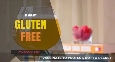 Is Wyeast Gluten-Free? A Guide for Homebrew Enthusiasts