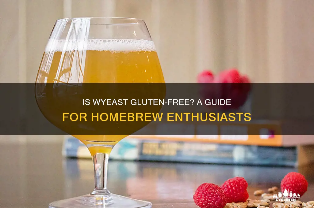 is wyeast gluten free