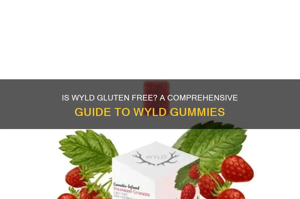 is wyld gluten free