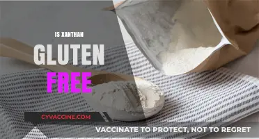 Is Xanthan Gum Gluten-Free? A Comprehensive Guide for Celiacs