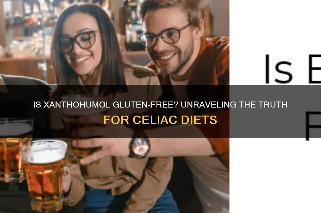 is xanthohumol gluten free
