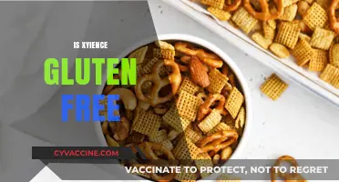 Is XYIENCE Gluten-Free? A Comprehensive Guide to Its Ingredients