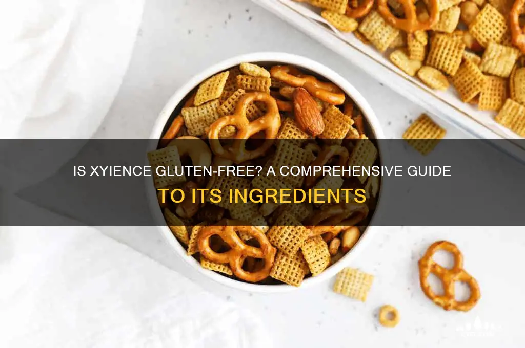 is xyience gluten free