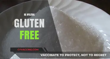 Is Xylitol Gluten-Free? A Comprehensive Guide to Sweetener Safety