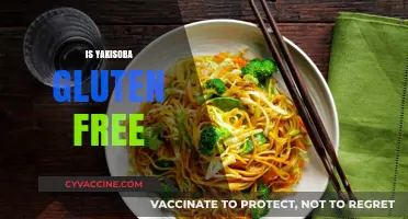 Is Yakisoba Gluten-Free? Unraveling the Noodle Mystery for Celiacs