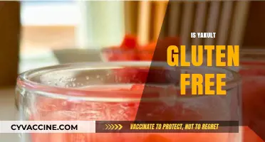 Is Yakult Gluten-Free? A Complete Guide to Its Ingredients