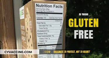Is Yasso Gluten-Free? Discover the Truth About This Frozen Treat