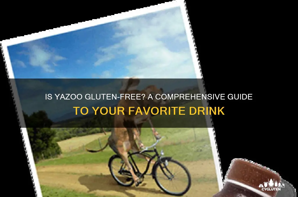 is yazoo gluten free